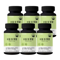 온푸드 비울 때 무꼬 알로에전잎 녹차추출물 다이어트 1병 1개월분, 6병, 60정