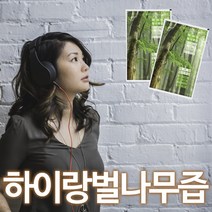 벌나무즙 100포