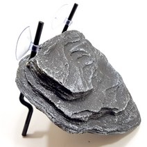 뉴런 거북이 쉼터 소사이즈 거북이휴게소, 1개, 50g