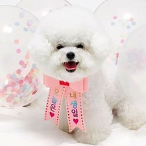 핑크캔디 강아지 고양이 리본화환 생일파티 강아지화환, 리본화환(컬러밴드)_노랑(오로라)