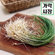 가락시장 당일경매 달래 도매야채 신선킹 가락시장야채 500g / 1kg