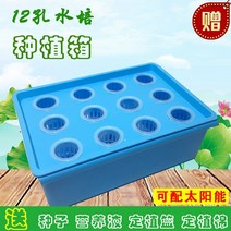 가정용스마트팜 베란다텃밭화분 베란다텃밭 새싹삼 상추키우기 야채재배기 수경재배포트 수경재배기 행잉화분 상추수경재배 스마트팜식물재배기, 시멘트, 중간 정도, 블루 뮤트 수배함