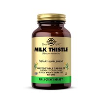 솔가 밀크시슬 100캡슐 SOLGAR Milk Thistle, 100정, 1개