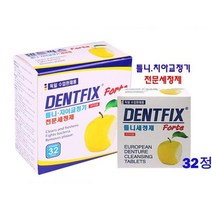 32정 덴트픽스 틀니 치아교정기 세정제 올바른관리 임플란트 세척기 여행키트 살균 잇몸건강