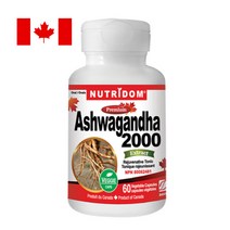 뉴트리돔 아쉬와간다 2000 4배농축 60 분말캡슐 에너지활력 아시와간다 N206