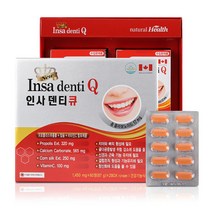 캐나다산 인사덴티큐 120정 4개월분 X 1박스 칼슘영양제, 1개