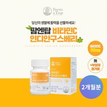 피로감 피로 회복 에 좋은 100% 인디안 구스베리 추출 비타민C 오렌지 20배 비타민씨 함량 과일 채소 섭취 부족한 분, 1BOX(2개월분), 0.6g