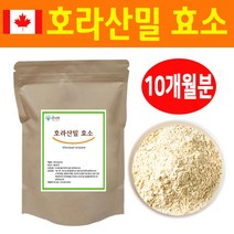 캐나다산 호라산밀 효소 분말 가루, 5팩, 200g