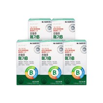 진정주 메가B(60정), 60정, 5개