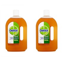 데톨 주방 살균제 750ml 2팩 Dettol Antiseptic Disinfectant Liquid 750 Ml