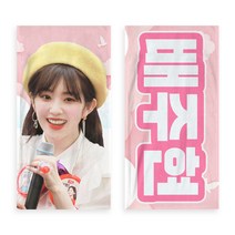 레드벨벳 아이린 빅 반사 슬로건