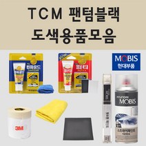 순정품 현대 TCM 팬텀블랙 자동차 차량용 붓펜 카페인트 도색 스프레이 더 올뉴 투싼 TL NX4 하이브리드 N라인, 02.스프레이: TCM 팬텀블랙 (당일발송)