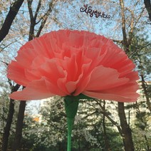 어버이날 스승의날 선물 자이언트 대왕 카네이션 만들기 DIY, 핑크/토퍼포함