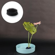 원예용품 원예부자재 원형 꽃꽂이 생화 수반 고정 침봉 DD-11682, 투명