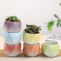 투톤 도자기 미니 다육이 화분 수제 소형 사무실 책상 사무실미니화분 다육이화분 소형화분 도, 레드