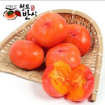 쭌이네 산지직송 달콤한 청도반시 5kg(후숙상품), 1통, 청도반시 5kg(36-40과)