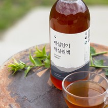 양촌리상회 매실액 1000ml 하동매실 매실청 매실진액 상큼함 천연소화제, 1000ml x 2병