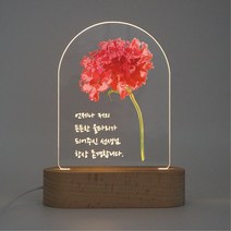 [주문제작] 부모님께 감사함을 전하는 선물 카네이션 무드등, 3번, Thank you, 1번 폰트