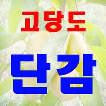 고당도 꿀 단감 10kg 대용량, 1박스, 10kg(특대)35과내외