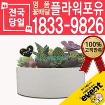 플라워포유 다육모듬 축하 오픈 개업 공기청정 관엽식물 화분선물 당일배송 꽃배달