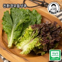 판매순위 상위인 무농약상추소매 중 리뷰 좋은 제품 소개