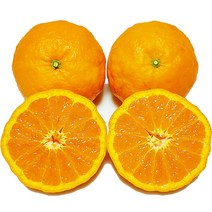 [제주의맛] 달콤한 제주 카라향 산지직송 선물용 가정용, 가정용포장, 카라향 못난이 5kg