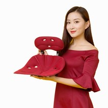 에스백 핏플러스 레귤러 2개세트 자세교정의자 허리교정 척추 보호 좌식의자, 레드/블랙, 레드/블랙