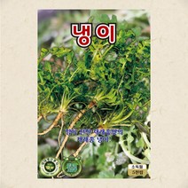냉이씨 5000립 냉이 씨앗 대장 KS종묘, 1개