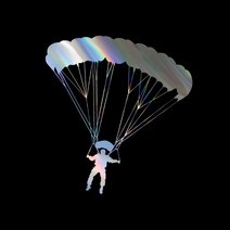 자동차포인트 0266 패러글라이딩튜닝스티커, XL, 카본