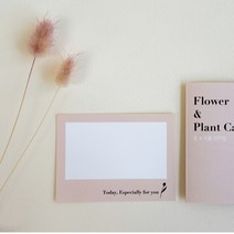 꽃집용품 꽃다발 메세지 카드 택 편지 메모지 엽서, 10매, 핑크