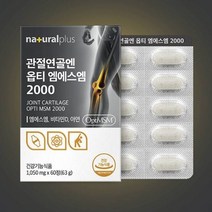 무릎 관절염에 좋은 연골 msm 영양제 뼈건강 손목 아연 비타민d 관절건강, 6개월
