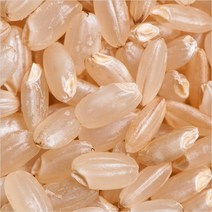 산들농산 22년 현미2kg(현미쌀), 1개, 2kg