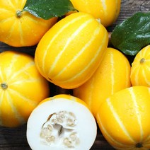 성주직송 제철과일 성주 참외 5kg, 5kg(11-23과)