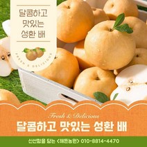 (해든농원) 배 선물세트 7.5kg / 가정용 못난이 배 15kg / 달고 시원한 성환 신고 배, 7.5kg 선물용 고급 12과 x 1box