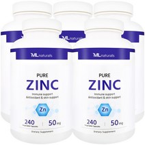 [미국번개배송] 착한명품 마이라이프 내추럴스 징크 아연 50 mg 240정 5병, 5개