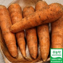 제주 구좌읍 무농약 당근 3kg (중사이즈/상사이즈/쥬스용) 햇당근 제주당근 쥬스용당근 무농약당근, 제주 무농약 당근 쥬스용 3kg
