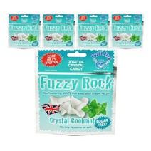 퍼지락 자일리톨 무설탕 캔디 40g, 10SET