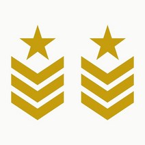 랩핑 데칼 끈적 오프로드 스티커 군사 스타 갤런 미국 육군 모험 스포츠 팩 단위 자동차 자전거 오토바이, 05 주황색_02 15cm