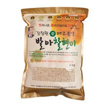 2022년산 햅곡 강창환 태교음악 발아찰현미, 1개, 4kg