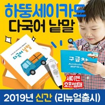 노란버스 처음교육 하뚱 세이카드 다국어 낱말 세이펜 미포함, ONE/FREE