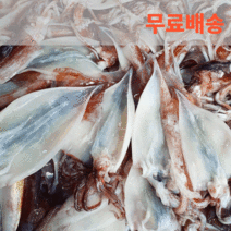 동광수산 국내산 냉동 손질 오징어, 2kg