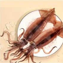 국내산동해 냉동오징어 선동 오징어 동해안오징어 2미 5미, 오징어(특대) 10미(원양산)