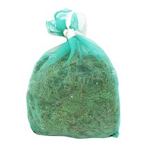 직접체취 측백엽 1 000g, 1,000g