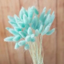 토끼 꼬리 말린 꽃 솜털 팜파스 잔디 소박한 웨딩 장식 홈 30 개, 14 qian blue_01 30pcs