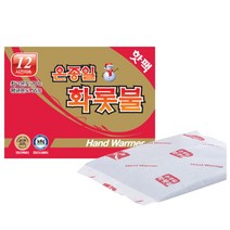 온종일 화롯불 포켓형 손난로 핫팩 80g, 10매