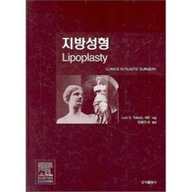 지방성형, 군자출판사, LUIZ TOLEDO  김병건