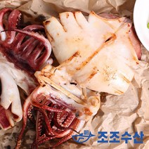 [조조수산]원양산 피데기 구룡포 반건조오징어 10마리 당일바리 반건오징어 버터구이용, 반건조오징어 10마리 - 900g