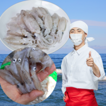 먹사부 태안 꼴뚜기 호래기 냉동 생물 꼴뚜기 회 횟감 자연산 국산, (선택1) 급냉 꼴뚜기, 3kg