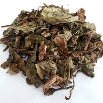 [전남생약농협] 국내산 한약초 삼백초 300g, 1개