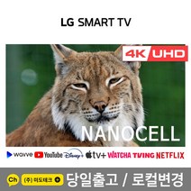 LG 43인치 4K UHD 나노셀 스마트 TV 43NANO75 리퍼, 3. 지방권역 스탠드  HDMI 2.0